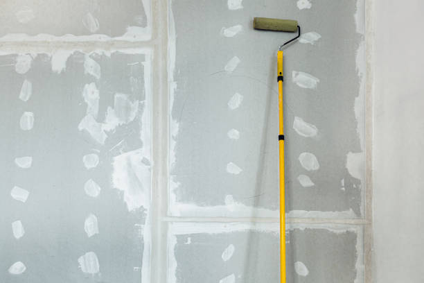 Best Drywall Removal and Disposal  in Old Westbury, NY